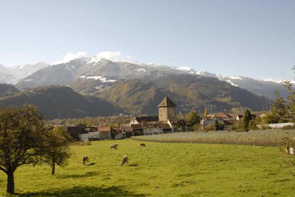 Victor'S Bed & Breakfast Maienfeld Exterior foto